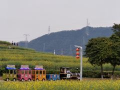 -光明小镇欢乐田园