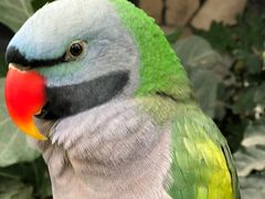 -南宫五洲植物乐园