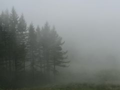 -驼梁风景区