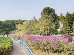 -铁山坪森林公园