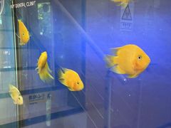 -艾维口腔(春江花月门诊部)