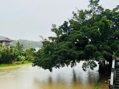-云水谣景区