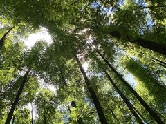 -山王坪喀斯特国家生态公园