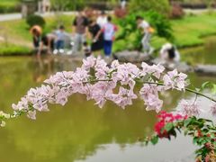 -东莞植物园