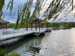 -长春市南湖公园