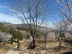 -白水寺森林公园