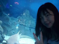 -烟台海昌鲸鲨海洋公园