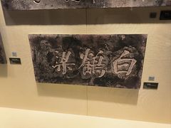 -白鹤梁水下博物馆