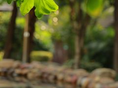 -融汇温泉