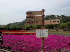 -丹樱生态园