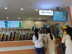 -雾与山茶(大禹城店)