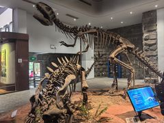 -自贡恐龙博物馆