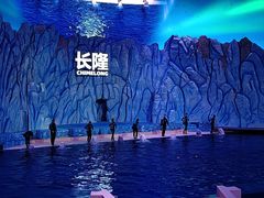 -珠海长隆海洋王国