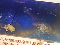 -集草轩·重庆麻辣烤鱼(西湖道店)