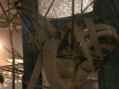 -时光花园(白鹭洲店)