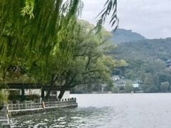 -杭州西湖柳莺里酒店