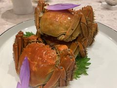 -新光酒家·河豚·海鲜·蟹料理(浦东店)