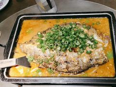 -炉鱼(亲橙里店)