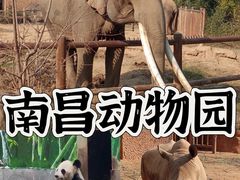 -南昌动物园