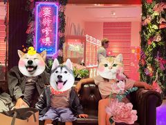 -纯K(打浦桥店)
