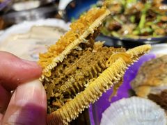 -蚝堡海鲜·威海菜·海肠捞饭·烧烤·亚洲吃蚝公司(幸福门店)