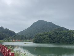 -广州市石门国家森林公园