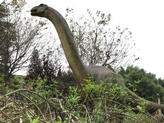 -自贡恐龙博物馆