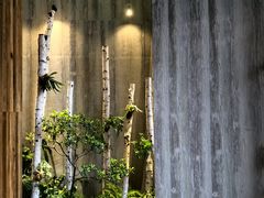 大堂-蘑界·野生菌火锅(深业上城店)