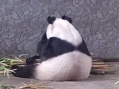 -西安秦岭野生动物园