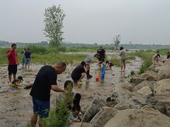 -绿堤公园