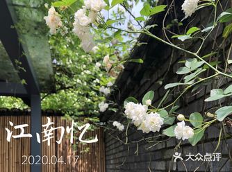 去年中秋来过之后就惦记上了