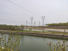 -大港湿地公园