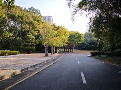 -深圳国际园林花卉博览园