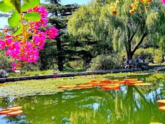 -国家植物园南园