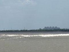 -观潮胜地公园