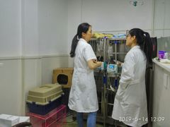 -成都民大动物医院