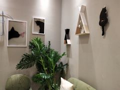 -藏猫猫咖啡主题馆(中央大道店)