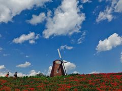 -北纬44度·金珠花海休闲农业旅游景区