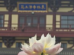 -庐山风景名胜区-东林大佛
