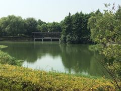 -尚贤河湿地