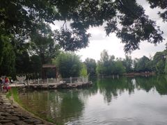 -蝴蝶泉公园