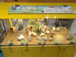 -孩子王童乐园(广州萝岗万达店)