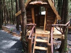 -重庆睡佛山森林公园