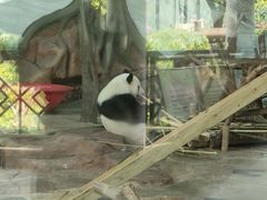 -南宁市动物园