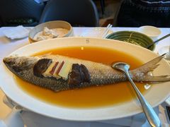 招牌鸡油花雕蒸鲥鱼-苏浙汇(肇嘉浜路总店)