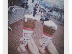 -富豪雪糕车流动点(尖沙咀店)