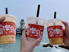-南澳岛打卡果汁冰公司