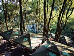 -巴倒烫陆派火锅山庄(南山总店)