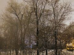 -长春市南湖公园