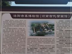 -洛阳古墓博物馆